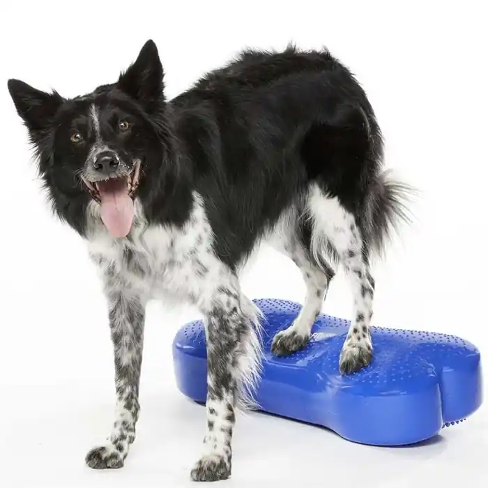 FitPaws K9 Fitbone Balans Träning För Hund Blue Köp online